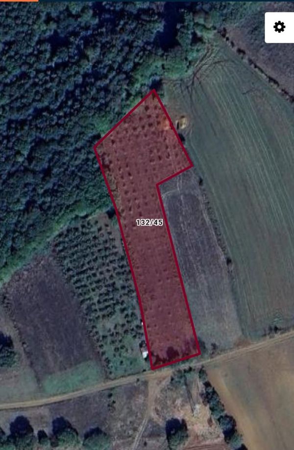 KOCAELİ KANDIRA da 4.810 m2 YOLA CEPHE YATIRIM FIRSATI — fotoğraf 5