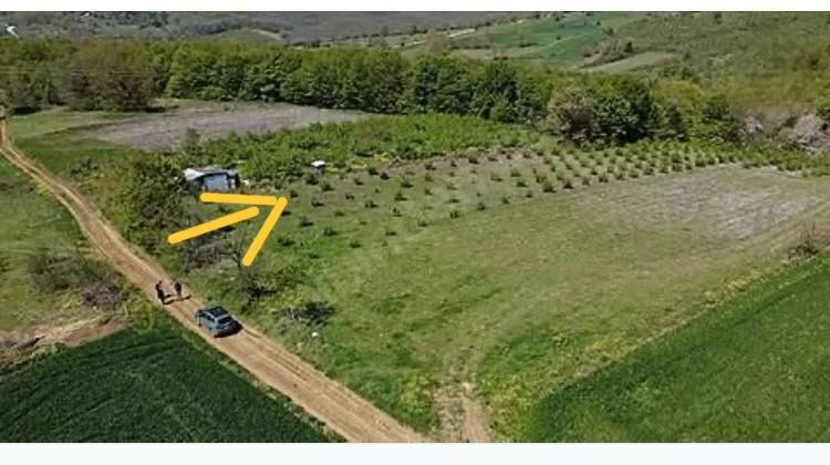 KOCAELİ KANDIRA da 4.810 m2 YOLA CEPHE YATIRIM FIRSATI