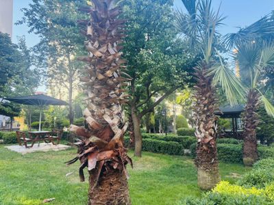 ÜMRANİYE AŞAĞI DUDULLUDA SİTE İÇERİSİNDE SATILIK 3+1 DAİRE — fotoğraf 5