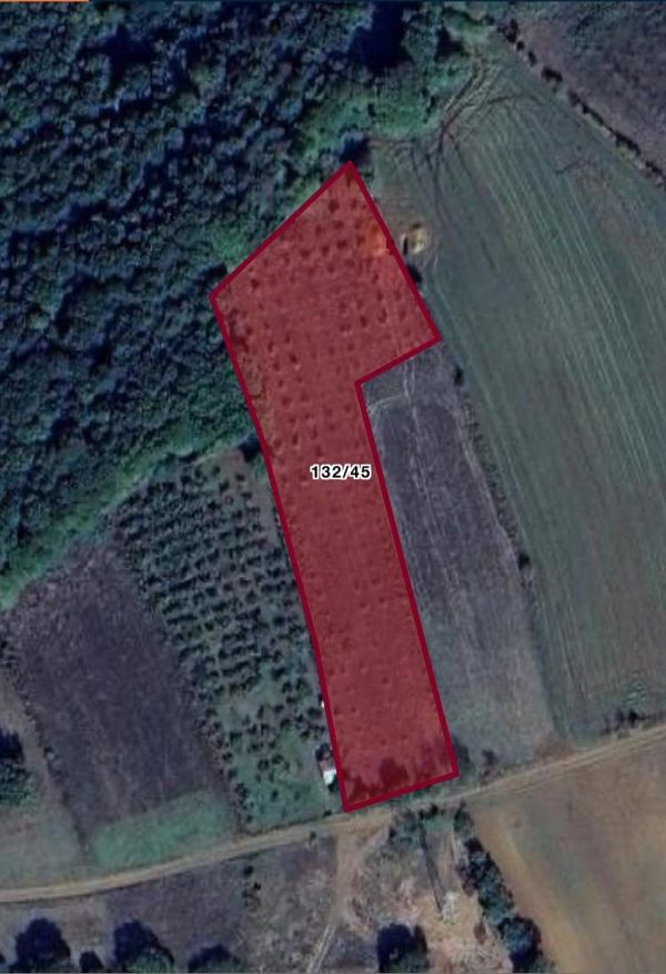 KOCAELİ KANDIRA da 4.810 m2 YOLA CEPHE YATIRIM FIRSATI — fotoğraf 4